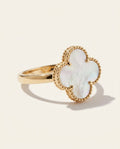 ANI34