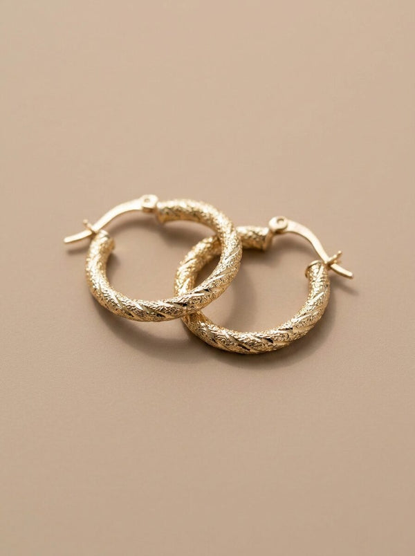 ARGOLLAS EAR